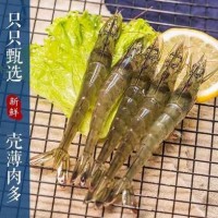 空運(yùn) 鹽凍青島大蝦 新鮮捕撈4斤裝中號大號新鮮 大蝦一件代發(fā)