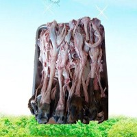 鹿廠(chǎng)直供保真 新鮮鹿蹄筋 滋補(bǔ) 批發(fā) 鹿產(chǎn)品 梅花鹿 一件代發(fā)