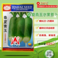 春夏青玉水果青蘿卜種子水果蘿卜甜脆青水果高產四季播蔬菜種孑