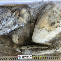 單凍墨魚/花枝/烏賊，干凍沒有泡水，產自福建東山島