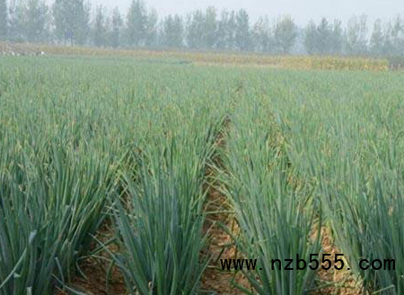 微信截圖_20210421192541