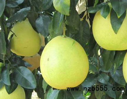 微信截圖_20210421193155