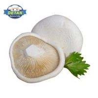 DETAN德添新鮮白靈菇 新鮮 購買請電話聯系，否則不發貨