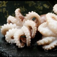 乳山廠家批發海鮮冷凍八爪魚 海鮮火鍋燒烤食大材小八爪魚章魚