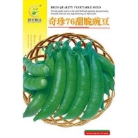 批發菜園蔬菜種子奇珍76甜脆豌豆15克盆栽陽臺院子菜籽廠家直銷