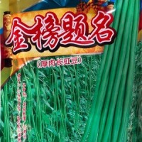 批發(fā)蔬菜種子 華贛翠綠長豆角 基地 菜園 菜場種子 400克廠家供應
