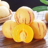 現(xiàn)摘現(xiàn)發(fā)云南石林人參果應(yīng)季新鮮水果樹上熟5斤黃肉多汁整箱批發(fā)