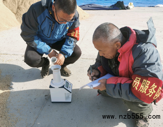 圖為黨員&ldquo;巡糧護(hù)糧組&rdquo;正在測(cè)量糧食水分