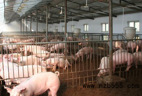 微信截圖_20220721100708