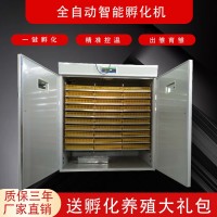 廠家直銷全自動智能孵化器 1232枚孵化機(jī) 雞鴨鵝苗孵蛋器 可定制