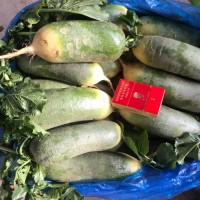 優(yōu)惠銷售水果青蘿卜，青皮青瓤及紫紅皮紫紅瓤蘿卜，甜脆可口