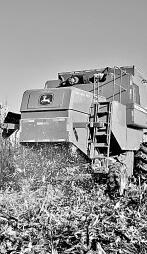 耕耘不輟， 闊步邁向農(nóng)業(yè)強國