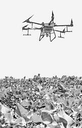 耕耘不輟， 闊步邁向農(nóng)業(yè)強國