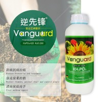 全水溶葉面肥亞磷酸鉀 高磷高鉀水溶肥 膨果?；ū９厣铱赝柿? onmouseover=