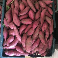 海南澄邁橋頭富硒地瓜5/10斤裝原產地紅薯富硒紅薯 富硒新鮮小果