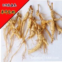 吉林長白山東北特產 人參 野山參 移山參 林下野山參殘支 批發