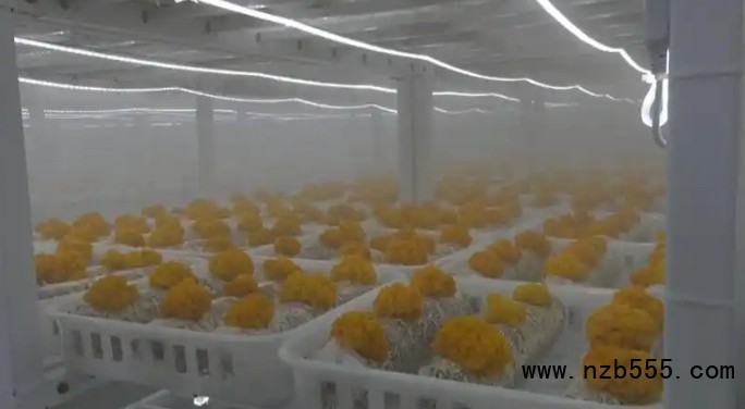 微信截圖_20250417163020