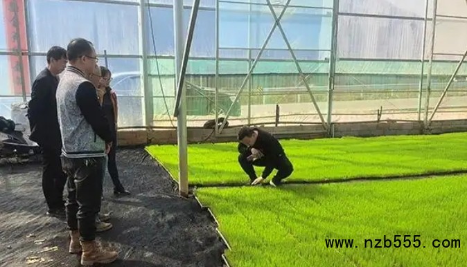 微信截圖_20250417163559