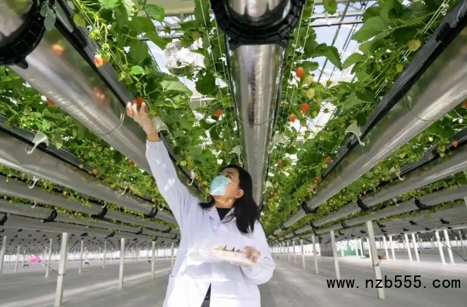 微信截圖_20250421164520