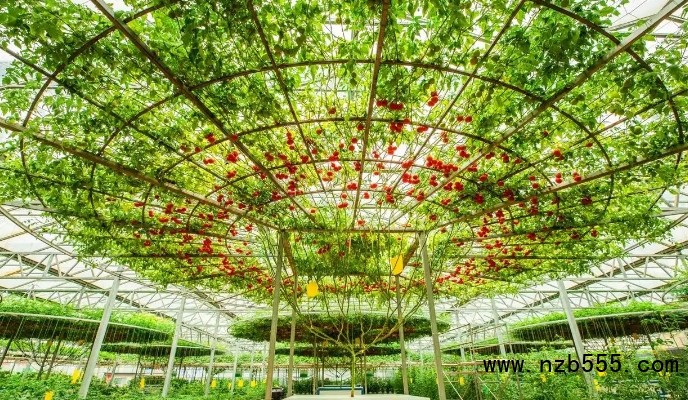 微信截圖_20250421164940