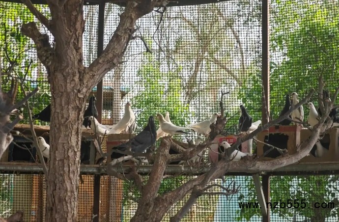 微信截圖_20250506170053