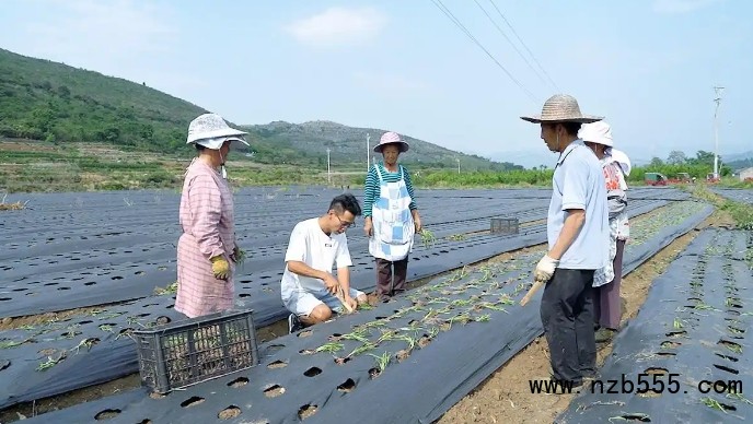 微信截圖_20250512164043