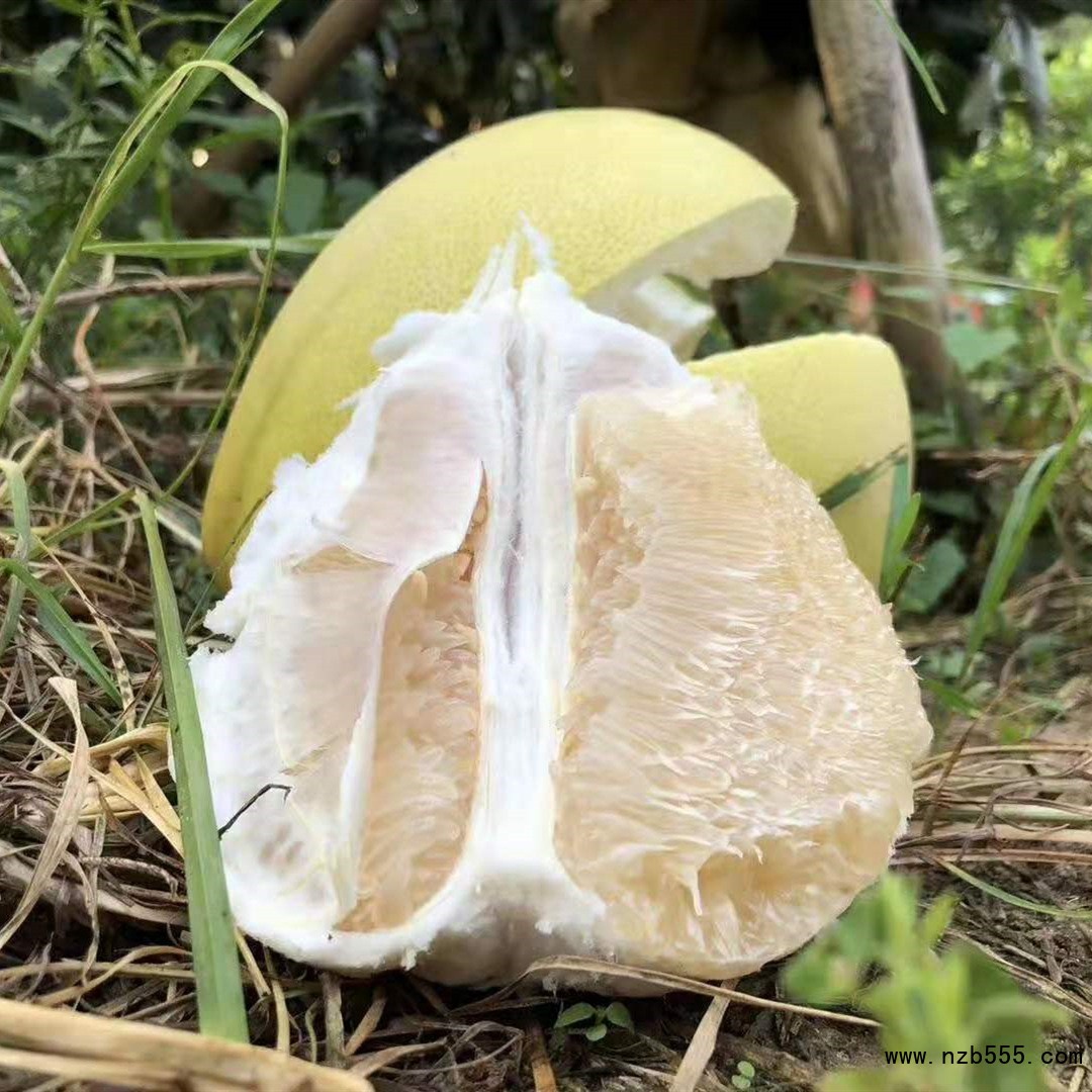 12505743541_808712636