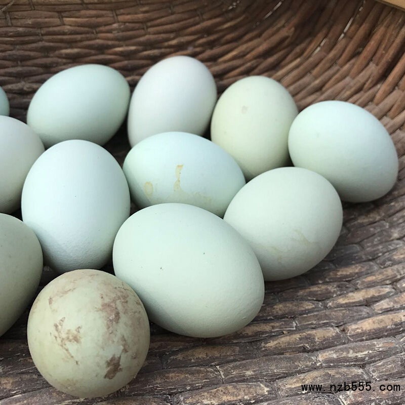 O1CN01iOG4i01OrDFNjFgml_!!2217609131758-0-cib