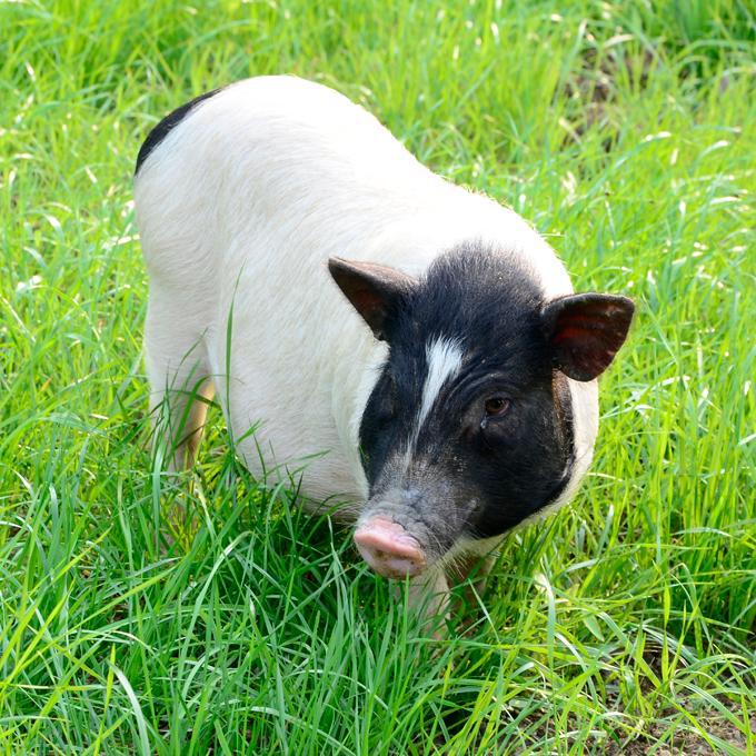 O1CN01QBPnQv1Kebuv3eXTT_!!2217916761189-0-cib