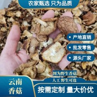 云南野生香菇干貨批發(fā)包郵天然干香菇高原頭茬厚菇量大價優(yōu)