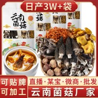 云南特產(chǎn)菌湯包干貨批貨市場(chǎng)農(nóng)副產(chǎn)品干蘑菇燉雞煲湯羊肚菌湯料包