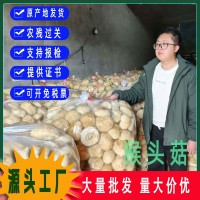 古田猴頭菇干貨粉猴頭菌原料剪根剪腳無硫散裝食用菌批發(fā)出口級(jí)