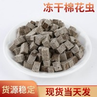 吉泰億鑫 水蚯蚓龜糧 觀賞魚飼料凍干棉花蟲 紅絲蟲小倉(cāng)鼠糧零食