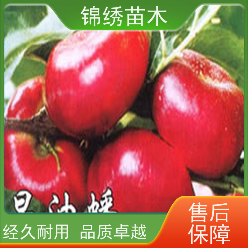 2iPsTTDdUNsryux6OAsK5YPKuW6_authorization=bce-auth-v1%2F9aea1667690e46f6badb951b1f74ed77%2F2025-04-18T12%3A13%3A59Z%2F-1%2F%2F485b9b7f8173a95f8494d3090f9d90e8f152fe703a7f8682bd7135bca600e235