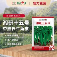湘研十五號辣椒種子 中熟牛角椒 抗病 青椒微辣軟皮土辣椒種子