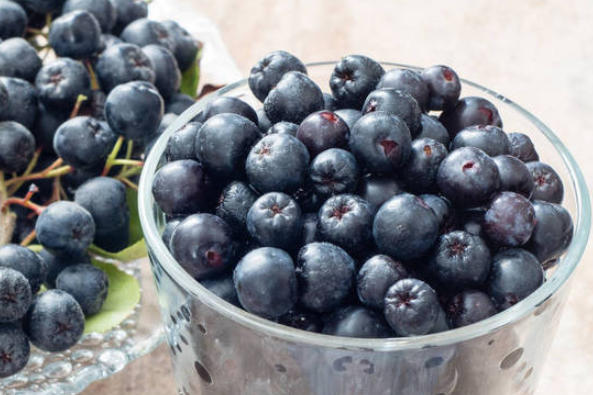 ScreenShot_2026-01-21_165812_742