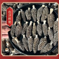 四川金堂縣羊肚菌干貨批發(fā)多規(guī)格抖音拼多多代發(fā)營養(yǎng)煲湯菌菇菌子