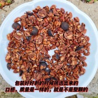 好好剝山核桃 山核桃仁 破殼仁批發(fā)大量