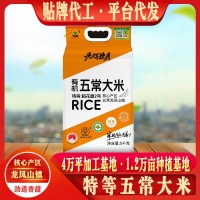特等五常大米稻花香5斤5kg10斤一袋東北稻花長粒香大米廠家代發(fā)