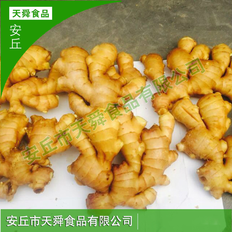 O1CN01skXzTv1PinQLQwsGC_!!962761875-0-cib