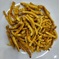 【野生蟲草】那曲冬蟲夏草蟲草干貨蟲草禮盒滋補品批發(fā)產(chǎn)地直供