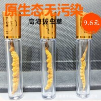 【凍干蟲草】蟲草干貨蟲草禮盒滋補品冬蟲夏草禮盒批發(fā)產(chǎn)地直供