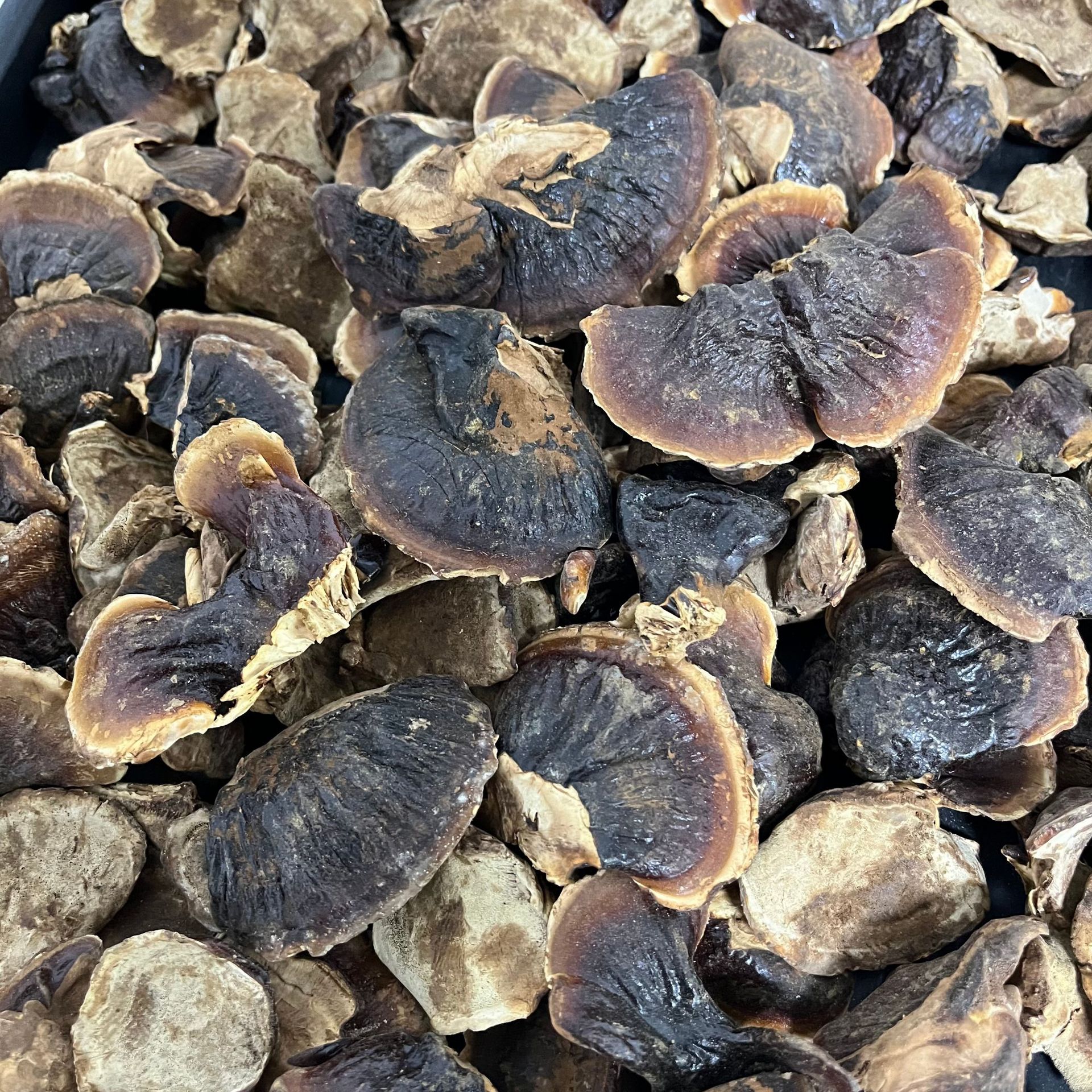 O1CN01TRk1CJ2CHhSCMct85_!!2218968108449-0-cib