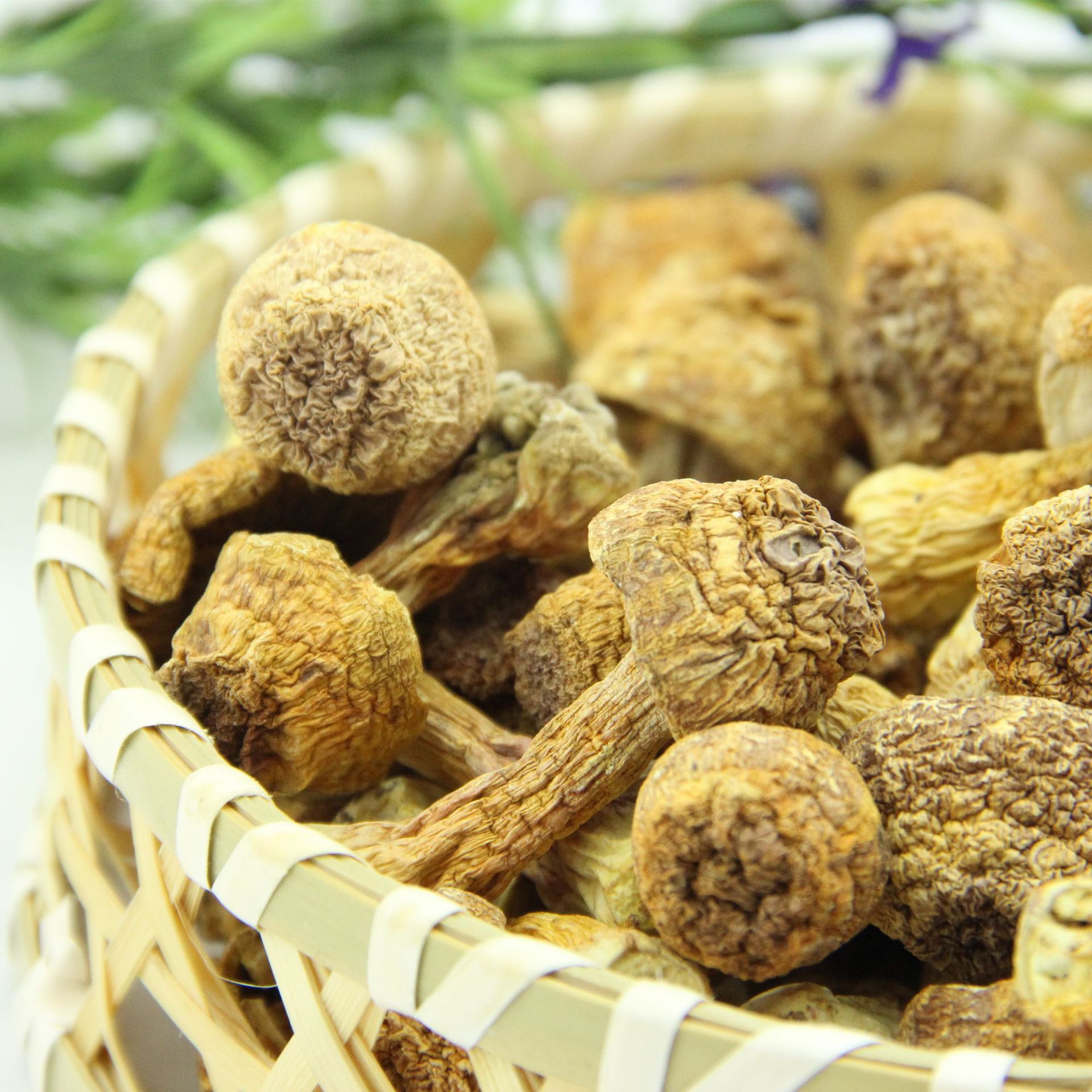 10484264330_1601604422