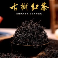 鳳慶滇紅茶 云南大葉種茶 醇厚甘甜古樹紅茶 500克散裝紅茶批發