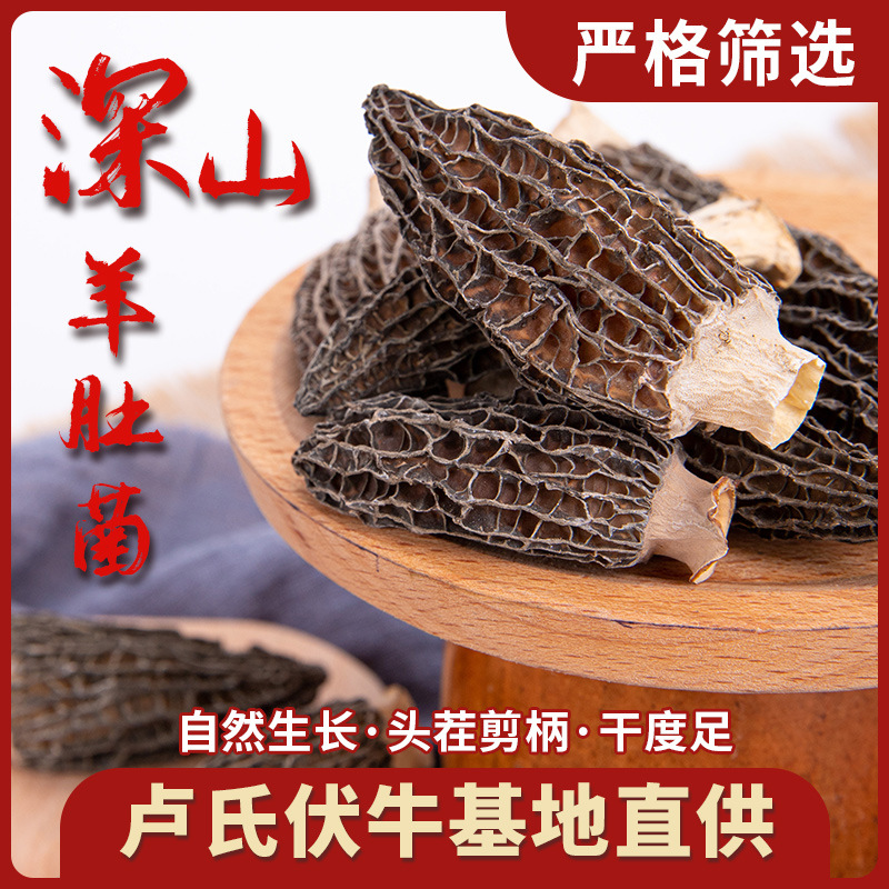 O1CN01ZEjbcf23jKanYG3QB_!!2216261507291-0-cib