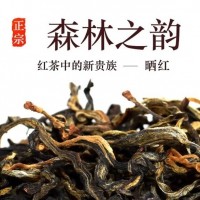 滇紅勐海古樹曬紅2025年頭春茶高濃香薯香木香茶葉500克批發