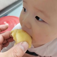 煙臺水晶紅富士蘋果脆甜多汁爽口條紅全紅香甜可口冰糖心棲霞蘋果