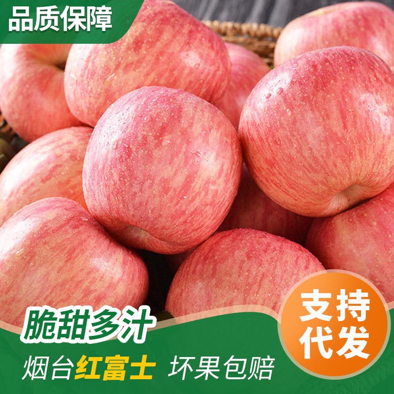 O1CN01XjLjRv2BTlytlgcS6_!!2214944538340-0-cib