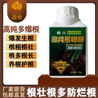 涵物高純多爆根生根粗根壯根多根養(yǎng)根護根微量元素營養(yǎng)液廠家批發(fā)